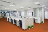 Picture of Pentz - Colorburst Plank Sunburst