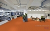Picture of Pentz - Colorburst Plank Sunburst
