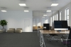 Picture of Pentz - Colorpoint Plank Iron