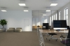 Picture of Pentz - Diversified Tile Unique