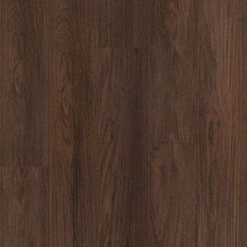 Picture of Shaw Floors - Prominence Plus Burnt Umber