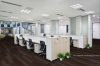 Picture of Pentz - Element Plank Ceres