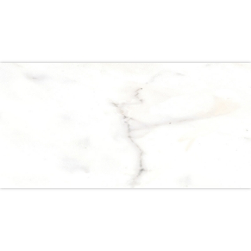 Picture of Tesoro - Classic 12 x 24 Calacatta