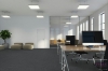 Picture of Pentz - Influencer Tile Marketing