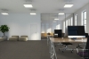 Picture of Pentz - Influencer Tile Mavens