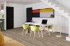 Picture of Engineered Floors - PureGrain Endure Lifestyle Druidstone