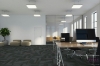 Picture of Pentz - Magnify Tile Carob