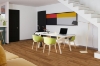 Picture of Engineered Floors - PureGrain Endure New Standard Plus Whitehaven