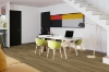Picture of Engineered Floors - PureGrain Endure New Standard Plus Coral Coast