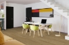 Picture of Engineered Floors - PureGrain HD Nurture Renew