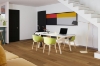 Picture of Engineered Floors - PureGrain Endure Preference Portland