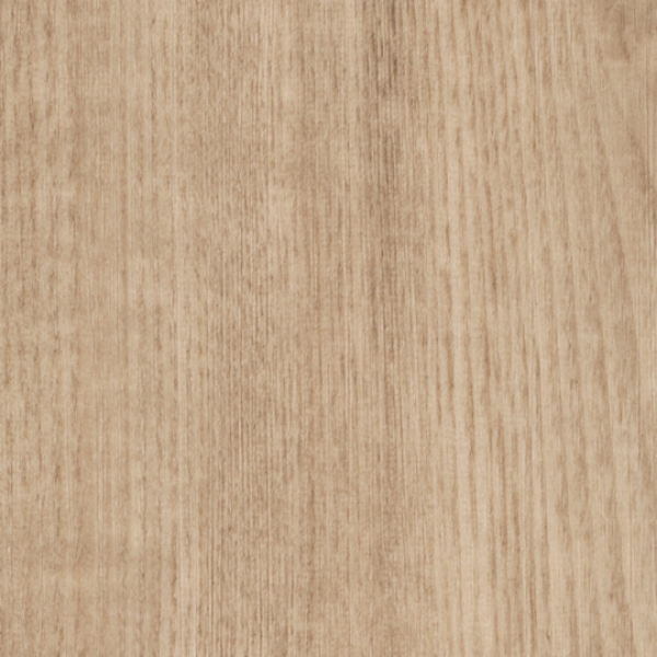 Picture of Shaw Floors - Terrain II 12 Mil 2.0 Thatch