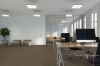 Picture of Pentz - Techtonic Server
