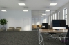 Picture of Pentz - Veritas Shoo-in