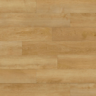 Picture of Durato - V-Evo XL Biscotti
