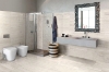 Picture of Tesoro - Memento 24 x 48 Polished Bianco
