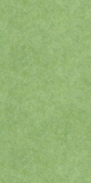 Picture of Patcraft - Cmyk Cypress-V2