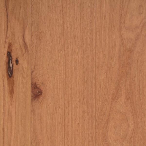 Picture of Tesoro Woods - Longevity Autumn