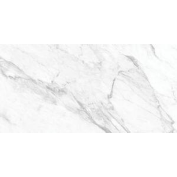 Picture of Tesoro - La Marca 24 x 48 Matte Statuarietto