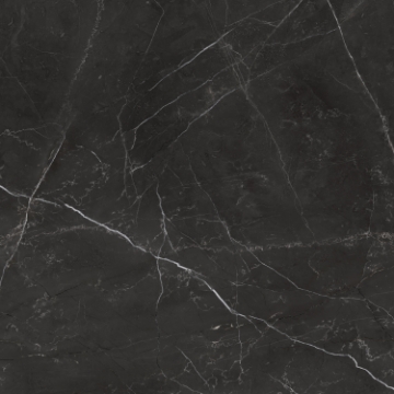 Picture of Tesoro - La Marca 24 x 24 Matte Nero Venato