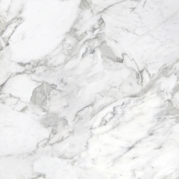 Picture of Tesoro - La Marca 24 x 24 Polished Arabescato