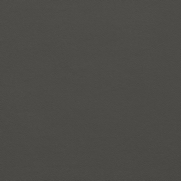 Picture of Johnsonite - Solid Colors Leather Charcoal