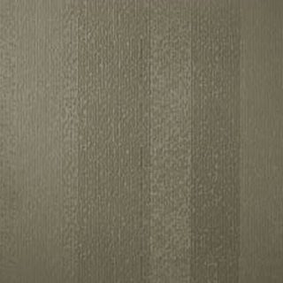 Picture of Johnsonite - Circulinity Fast Lane Grizzly