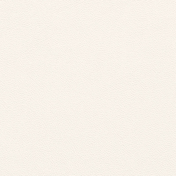 Picture of Johnsonite - Solid Colors Leather Snow White