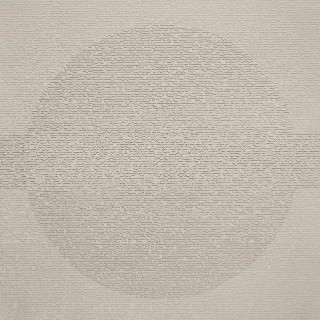 Picture of Johnsonite - Circulinity Round-A-Bout Canvas