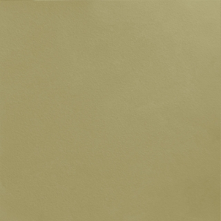 Picture of Johnsonite - Solid Colors Rice Paper Iguana