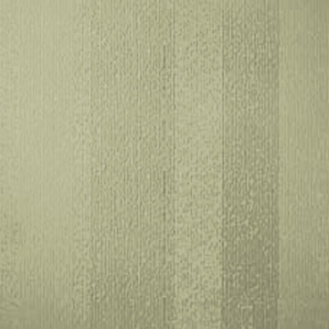 Picture of Johnsonite - Circulinity Fast Lane Iguana