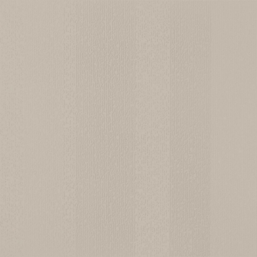 Picture of Johnsonite - Circulinity Fast Lane Castaway