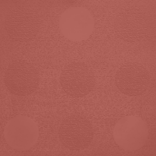 Picture of Johnsonite - Circulinity Tic-Tac-Toe Spicy Chip