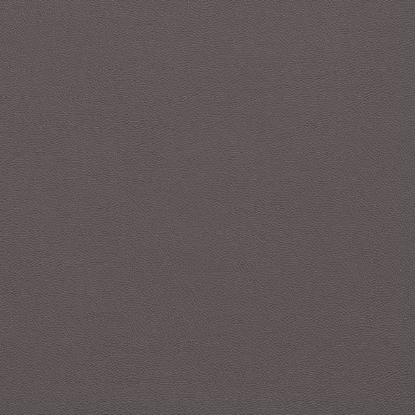 Picture of Johnsonite - Solid Colors Leather Poetry Plum