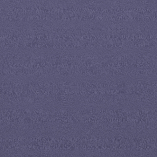 Picture of Johnsonite - Solid Colors Leather Grapest