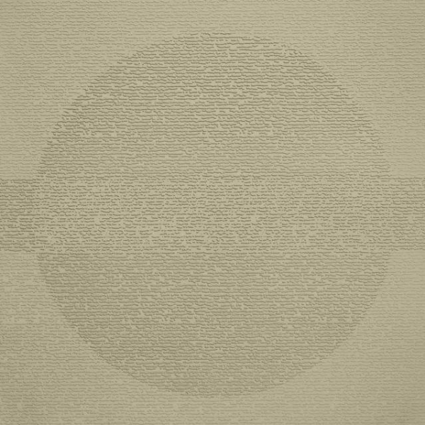 Picture of Johnsonite - Circulinity Round-A-Bout Iguana