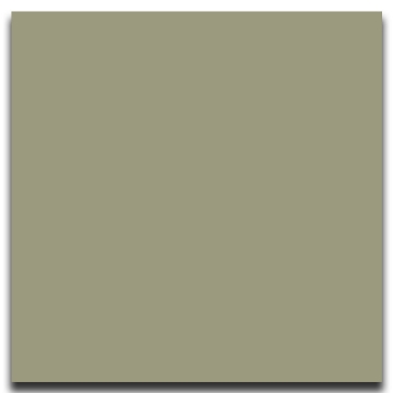 Picture of Johnsonite - Solid Colors Smooth 12 x 12 Gecko