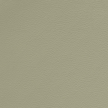 Picture of Johnsonite - Solid Colors Forged Gecko