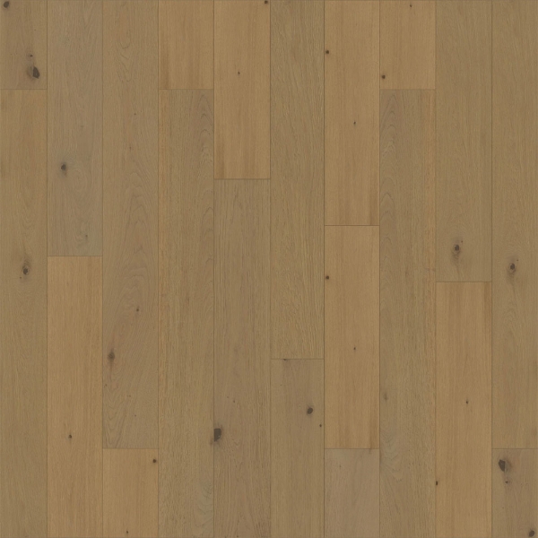 Picture of EarthWerks - Costa Brava Andora