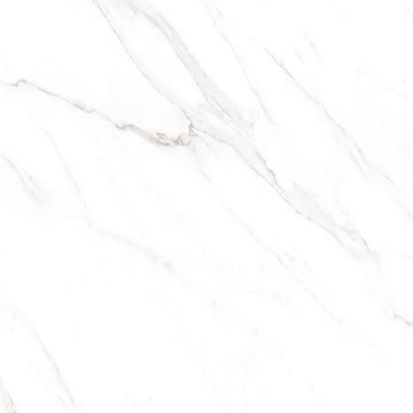 Picture of American Wonder Porcelain - Sherron 24 x 24 Polished White