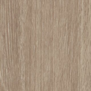 Picture of Patcraft - Timber Grove II 30MIL Boxwood