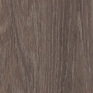 Picture of Patcraft - Timber Grove II 30MIL Frontier