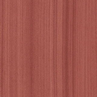 Picture of Patcraft - Timber Grove II 30MIL Coral