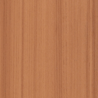 Picture of Patcraft - Timber Grove II 30MIL Mandarin