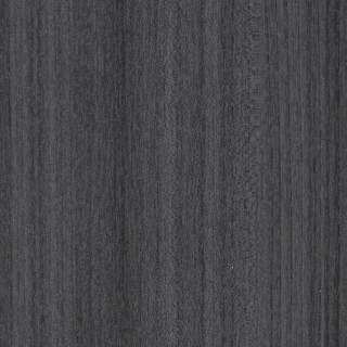 Picture of Patcraft - Timber Grove II 30MIL Onyx