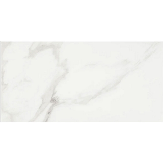 Picture of Daltile - Artsy 12 x 24 Studio Carrara