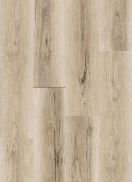 Picture of Signature Collection - SelectStyle Pro20 Antique Lace