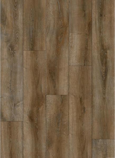 Picture of Signature Collection - SelectStyle Pro20 Muddy Clay