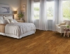 Picture of Hartco - Beckford Plank 5 Densitek Canyon
