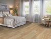 Picture of Hartco - Prime Harvest Solid 5 Natural Maple